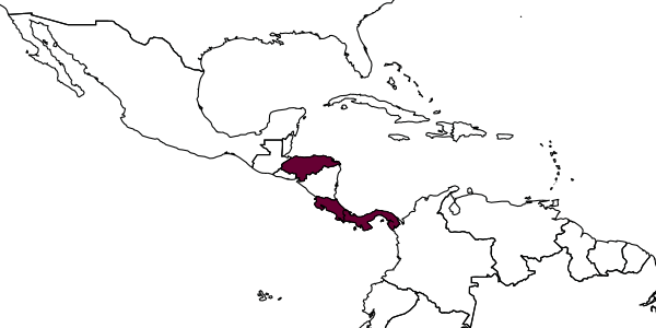 map of Orasema cozamalotl     Burks, Heraty & Dominguez, 2018
