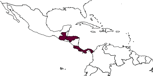 map of Orasema arimbome     Dominguez, Burks & Heraty
