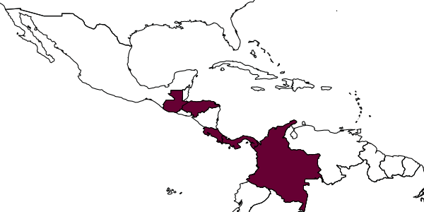 map of Octostruma obtusidens     Longino, 2013