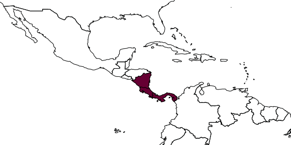 map of Protopolybia wheeleri     Bequaert, 1944