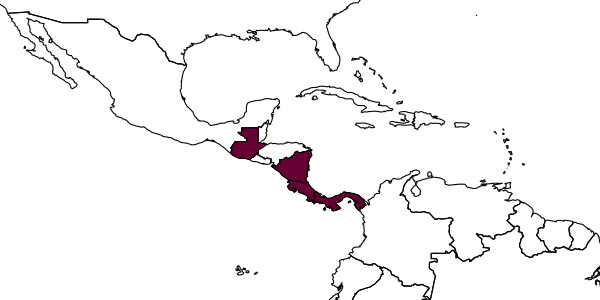 map of Exochus vanitus     Gauld & Sithole, 2002