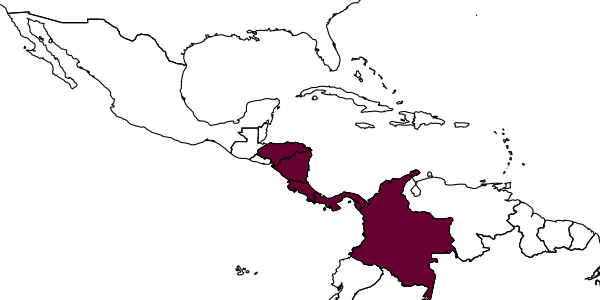 map of Carebara reina     Fernández, 2004