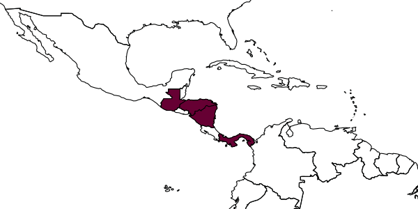 map of Rogeria scandens     (Mann, 1922)