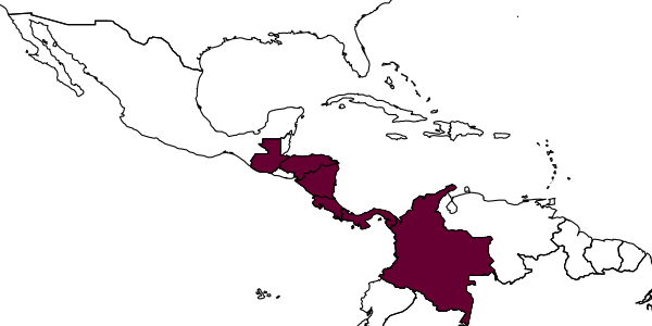 map of Eurhopalothrix xibalba     Longino, 2013