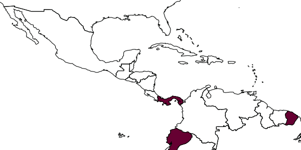 map of Deinodryinus dariensis     Olmi, 2003