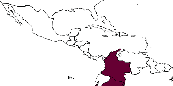 map of Epirhyssa fusca     Gómez & Sääksjärvi, 2015