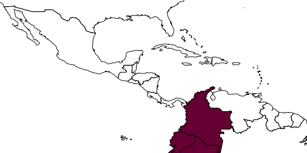 map of Polybia rufitarsis  peruviana   Bequaert, 1943