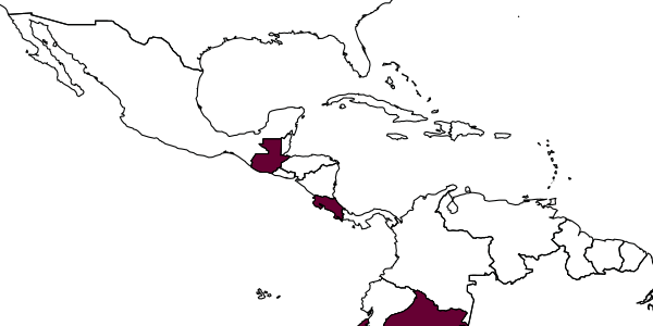 map of Agelaia panamaensis     (Cameron, 1906)
