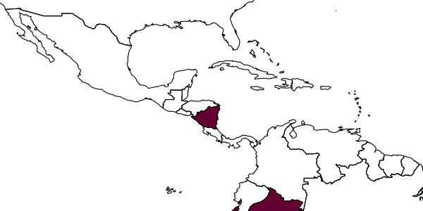 map of Tanaostigma smicropleura     LaSalle, 1987