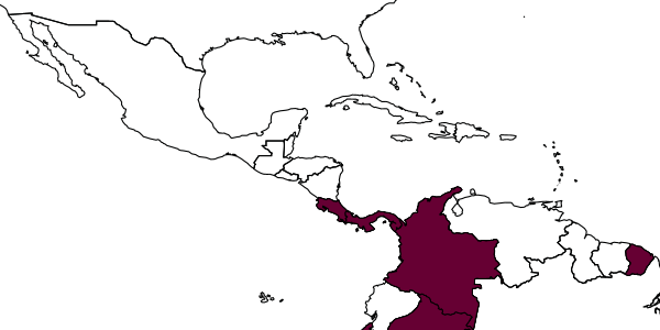 map of Chimila mocoana     Leclercq, 1980
