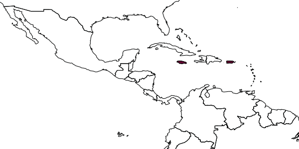 map of Huacrabro caraiborum     Leclercq, 2000