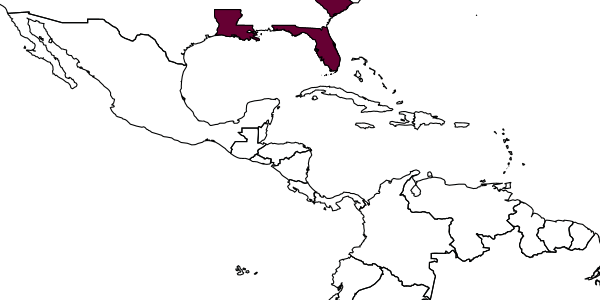 map of Mesochorus hirticoleus     Dasch, 1971