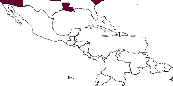 map of Mesochorus validus     Dasch, 1971