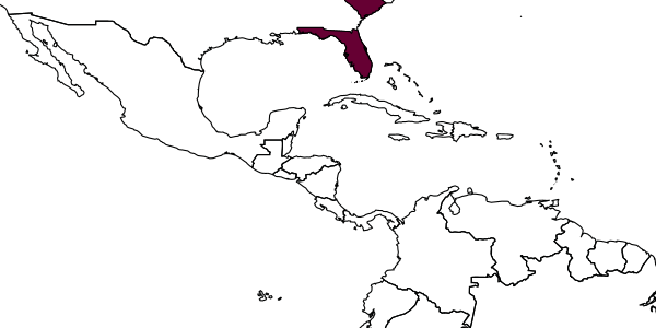 map of Pseudisobrachium carolinianum     Evans, 1961