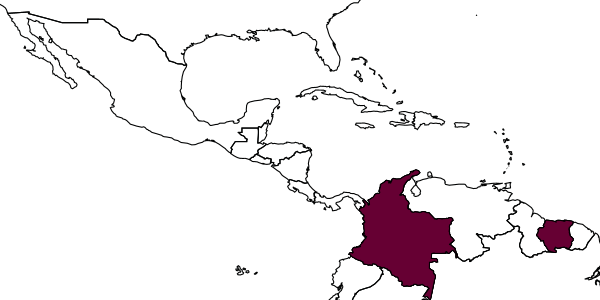 map of Carebara reticulata     Fernández, 2004