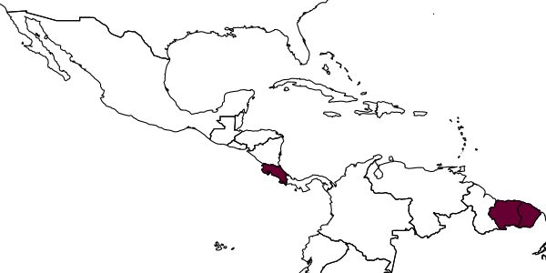 map of Dryinus forestalis     (Olmi, 1984)