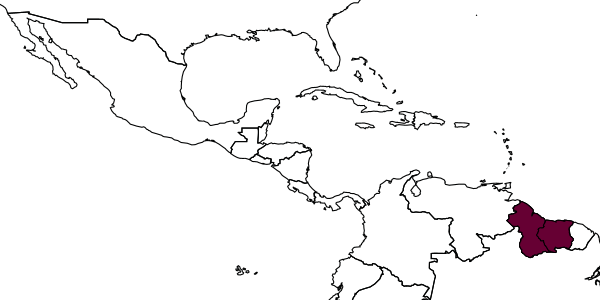 map of Sericomyrmex impexus     Wheeler, 1925