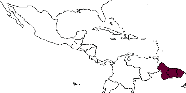 map of Octostruma betschi     Perrault, 1988