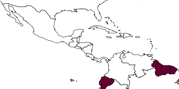 map of Odontomachus scalptus     Brown, 1978