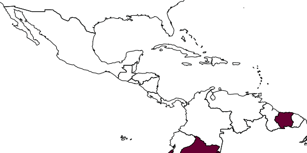 map of Theronia terebratrix     Krieger