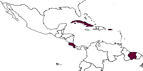map of Eurydinoteloides bacchadis     (Burks, 1954)