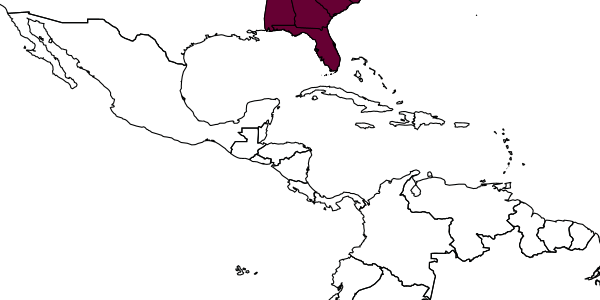 map of Tiphia unica     Allen, 1934