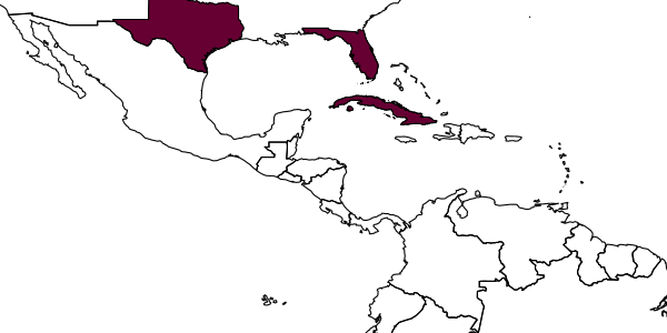 map of Aphidius floridaensis     Smith, 1944