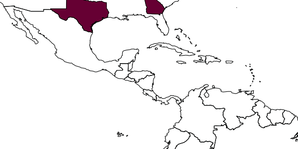map of Eupelmus nitifrons     Gibson, 2011