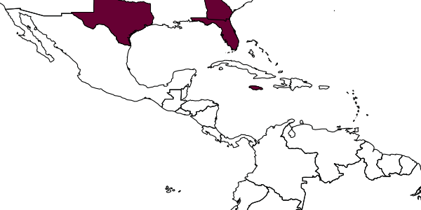 map of Pseudomyrma brunnea     Smith