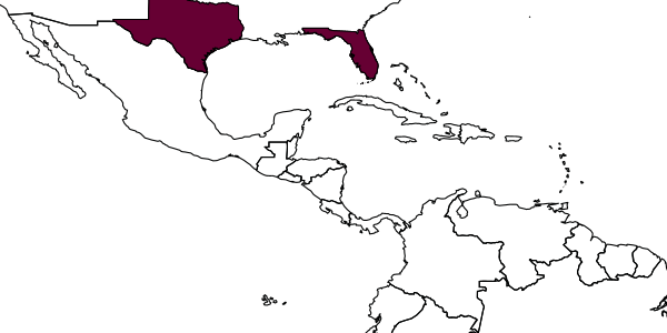 map of Mirax texana     Muesebeck, 1922