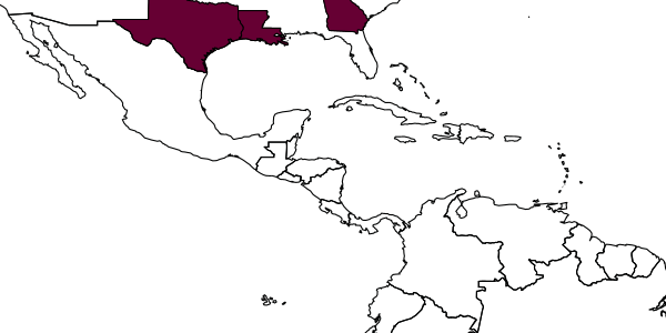 map of Enoplolindenius yucatanensis  robertsoni   (Rohwer, 1920)
