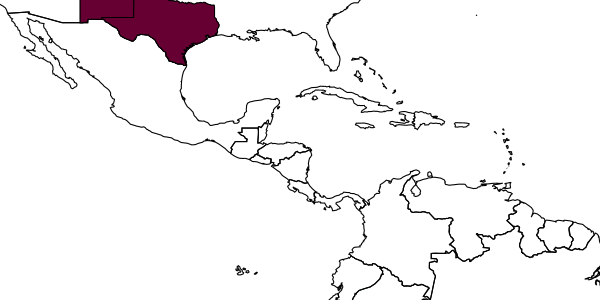 map of Acantholyda thalictra     Middlekauff, 1958