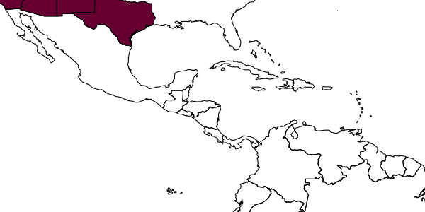 map of Orasema simulatrix     Gahan, 1940