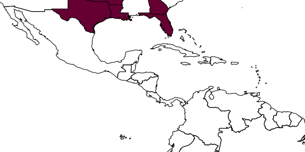 map of Orgilus modicus     Muesebeck, 1970