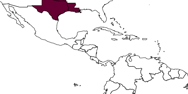 map of Andrena nothoscordi     Robertson, 1897