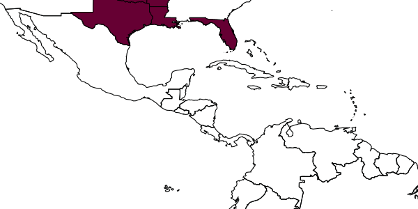 map of Eupelmus curticinctus     Gibson, 2011
