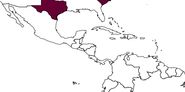 map of Astiphromma rutilum     Dasch, 1971