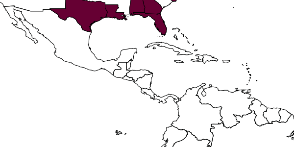 map of Andrena illini     Bouseman & LaBerge, 1978