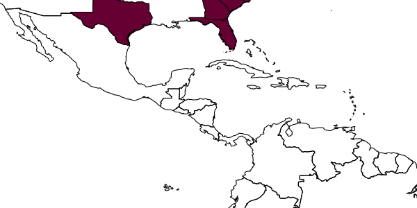 map of Epeolus australis     Mitchell, 1962