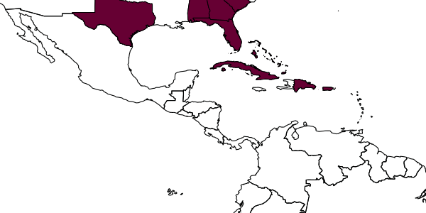 map of Mischocyttarus mexicanus  cubicola   Richards, 1978