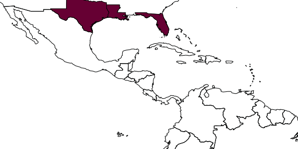 map of Casinaria grandis     Walley, 1947
