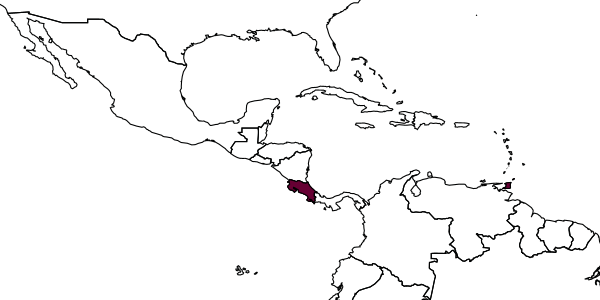 map of Zarhopalus zancles     Noyes, 2000