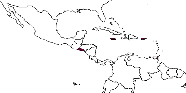 map of Neocladia waterstoni     (Subba Rao)