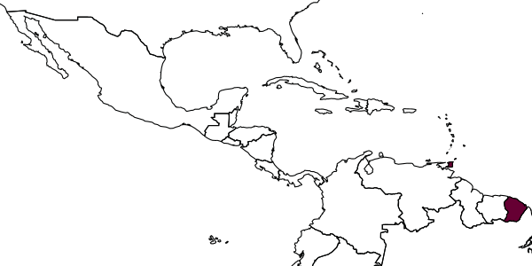 map of Hylaeus dictyotus     Snelling, 1982