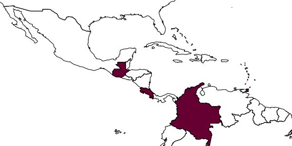 map of Halsteadium petiolatum     Bouček, 1992
