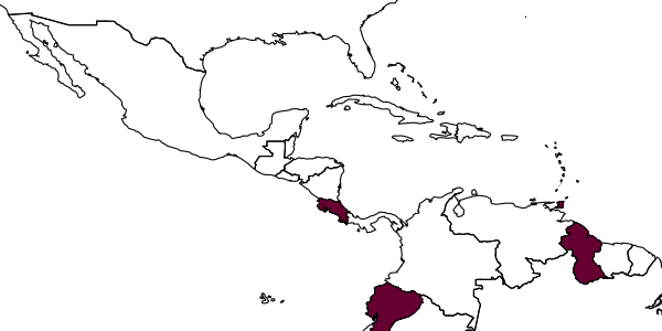 map of Anisepyris trinitatis     Evans, 1966