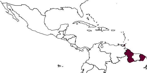 map of Pheidole aripoensis     Wilson, 2003