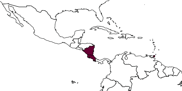 map of Shedoepistenia noyesi     Gibson, 2003