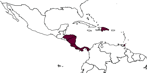 map of Orasema evansi     Burks, Heraty & Dominguez, 2018