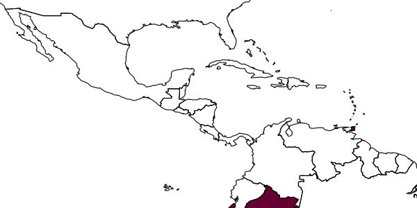 map of Montezumia trinitata     Willink, 1982